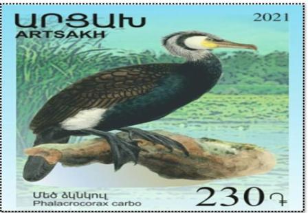 Ներմուծեք նկարագրությունը_2604